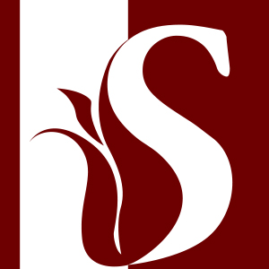 Seha Blişim